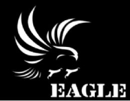 EAGLE Network logo